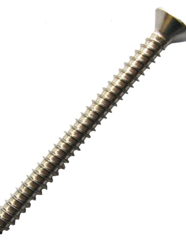 Performa Cistern Pan Screw & Guard Stainless Steel Trade Pack (12)